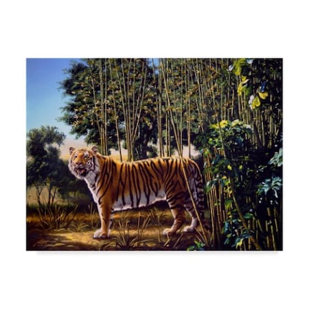 D. Rusty Rust 'Hidden Tiger ' Canvas Art,24x32